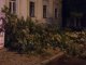 Фото: Полтава після урагану: в центрі повалені дерева (фото)