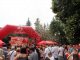 Фото: У Полтаві пройшло свято морозива