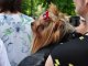 Фото: У Полтаві проходить Міжнародна виставка собак. Фоторепортаж