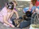 Фото: У Полтаві роздавали безпритульних собак та котів (+фото)