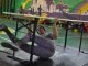 Фото: У Полтаві змагалися у лазанні на столі (фото)