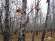 Фото: Погода в Полтаві на 18 листопада