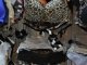 Фото: Де в Полтаві придбати вишукану та якісну білизну (фото)