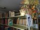Фото: В рамках акції "Кола" бібліотека села Гоголеве отримала 300 книг (+фото)