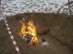 Фото: У Полтаві працівники СБУ спалили наркотики на 25 тисяч гривень