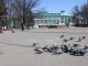 Фото: Березневе тепло розбудило природу та сонних після зими полтавців (фото)