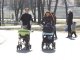 Фото: Березневе тепло розбудило природу та сонних після зими полтавців (фото)