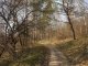 Фото: Полтава розквітла: фоторепортаж  з дендропарку