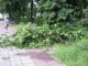 Фото: Полтава після негоди: люди фотографуються на фоні зламаних дерев