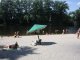 Фото: Як виглядають полтавські пляжі на початку сезону: перший міський пляж