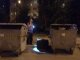 Фото: Через стару валізу у Полтаві до сміттєбаків приїхала купа міліції (фото)
