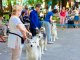 Фото: В парку "Перемога" пройшла щорічна виставка собак (фоторепортаж)