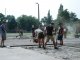 Фото: Студенти самі для себе у Полтаві будують спортивний майданчик