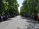 Фото: Полтавою марширували духові оркестри (ФОТО, ВІДЕО)