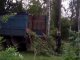Фото: У Полтаві пиляють аварійні дерева так, що аж ламають паркани (ФОТО)