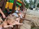Фото: Команда ГО"Рідне місто, Рідний край" організувала для дітей екскурсію в зоопарку