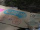 Фото: Благодійно-мистецька акція в Полтаві: в корпусному парку проходить четвертий «Кадетаріум» (ФОТО, ВІДЕО)