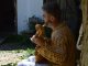 Фото: На Полтавщині виросло «Древо кобзарського роду» (ФОТО, ВІДЕО)