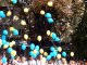 Фото: У Полтаві пройшов масштабний парад вишиванок (ФОТО, ВІДЕО)