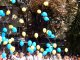 Фото: У Полтаві пройшов масштабний парад вишиванок (ФОТО, ВІДЕО)