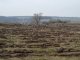 Фото: Усі в ліс: у лісівників пора весняних робіт (ФОТО)