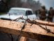 Фото: Карлівський район готується оборонятися: провели навчання загону оборони (ФОТО, ВІДЕО)