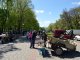 Фото: У Полтаві проходить виставка-продаж свійських тварин (фоторепортаж)