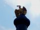 Фото: Активісти пов’язують зникнення символіки з монумента Слави в Полтаві з судом над Марком Чаусом (фото)