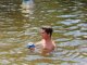 Фото: Під Полтавою плавали «Скажені карасі» (ФОТО)