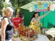 Фото: Не все спокійно в бджолиному королівстві: пасічники розповіли, чому меншає меду