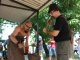Фото: У Миргороді втретє відбувся Ковальський фестиваль ножових майстрів (ФОТО)