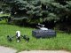 Фото: У Полтаві утворили «живий тризуб» (оновлено: фото та відео)
