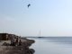 Фото: Дика перлина Чорного моря – острів Джарилгач (ФОТО)