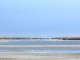 Фото: Дика перлина Чорного моря – острів Джарилгач (ФОТО)